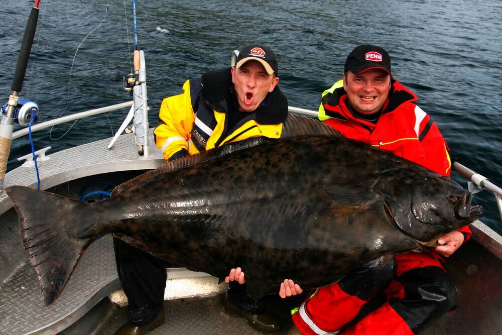 Rybaření v Norsku - rybářská výbava a doporučení, na co chytat