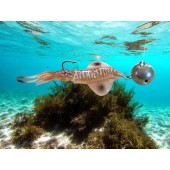 Čeburaška oliheň UV 200g