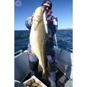 Švédský pilkr nerez 900g se třpytkou