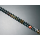 WFT Charisma senso pilk 2.4m 30-120g 2díl