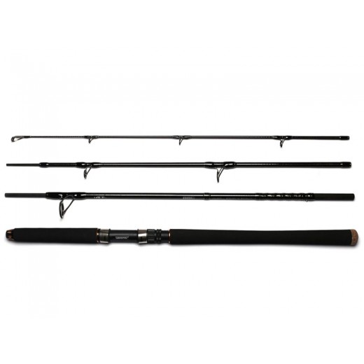 DAIWA BG Offshore Travel 2,4m 150-500g 4díl