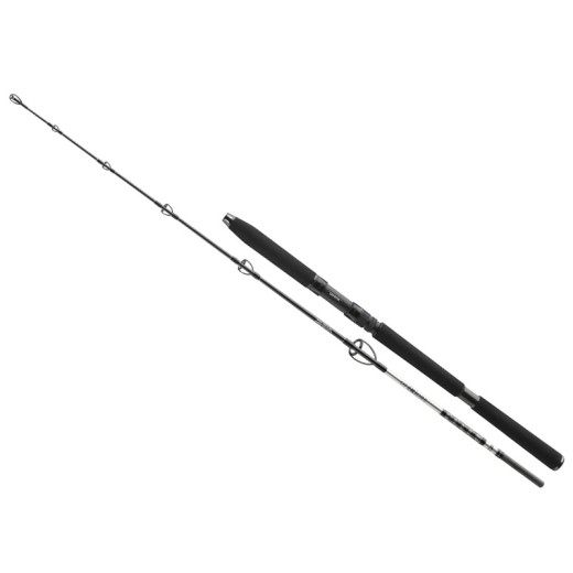 DAIWA BG Sea Jigger 1,7m 150-400g