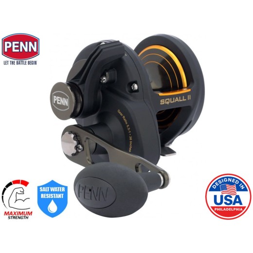 PENN Squall II SQLII25NLD